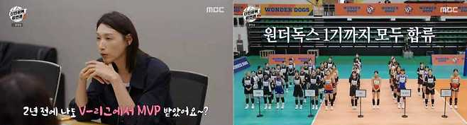 신인감독 김연경2 정보
