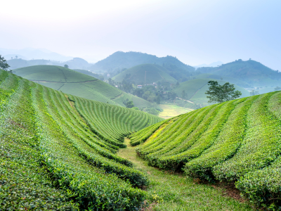 농지연금 가입조건 수령액 계산 총정리