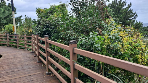 제주여행_도두봉