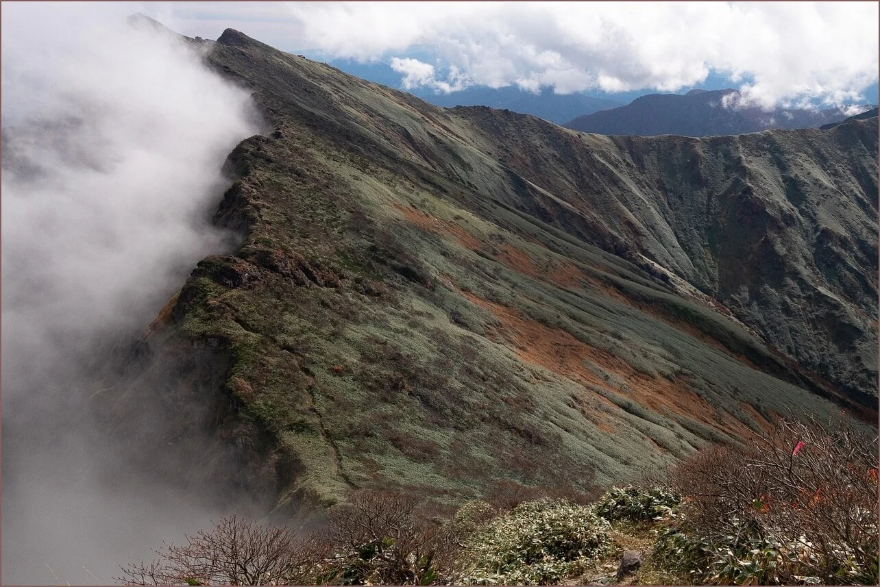 무인민원발급기 위치