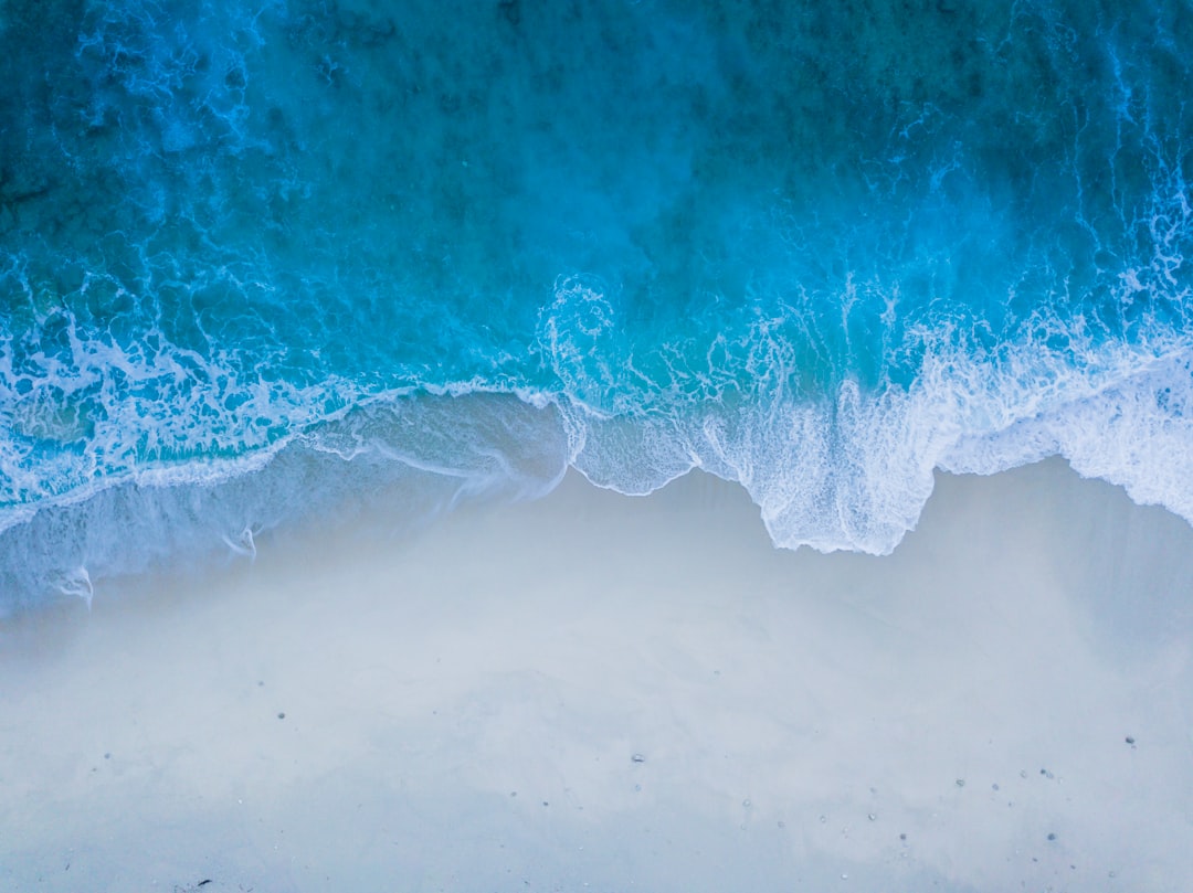 Tide