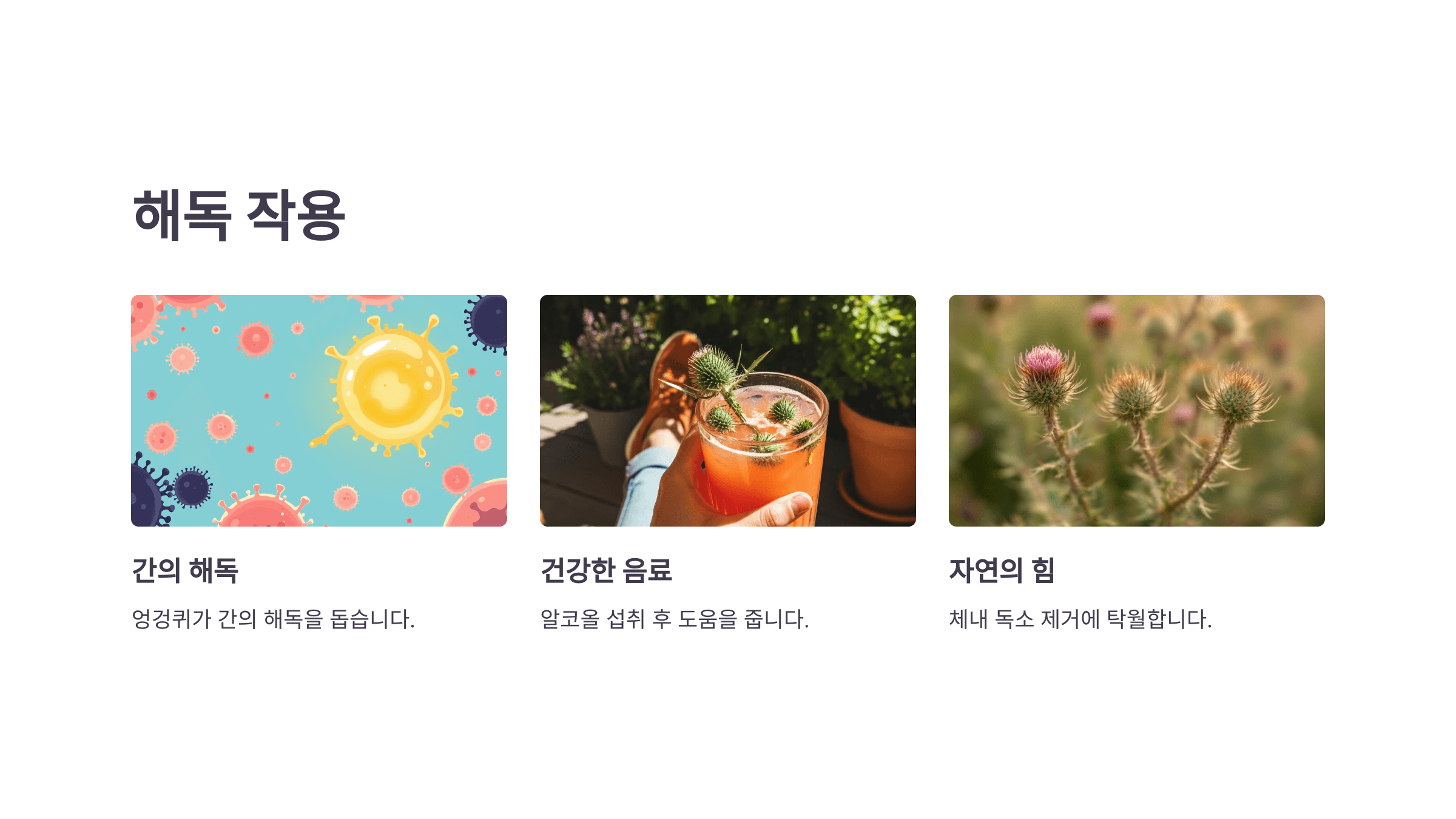 엉겅퀴와 관련된 사진입니다.