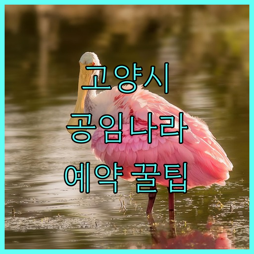 고양시 근처 공임나라 예약 꿀팁: 놓