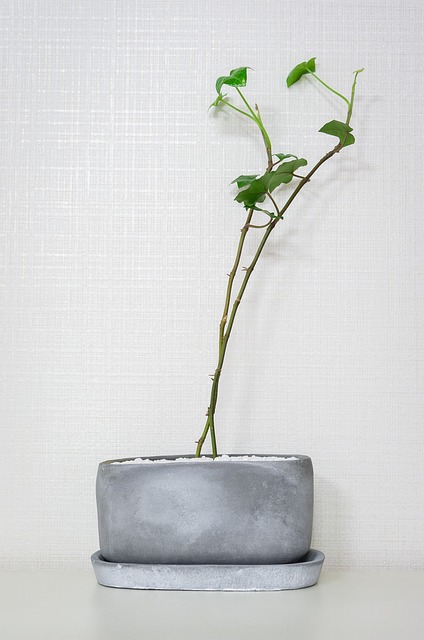 에너지 효율 규제 강화