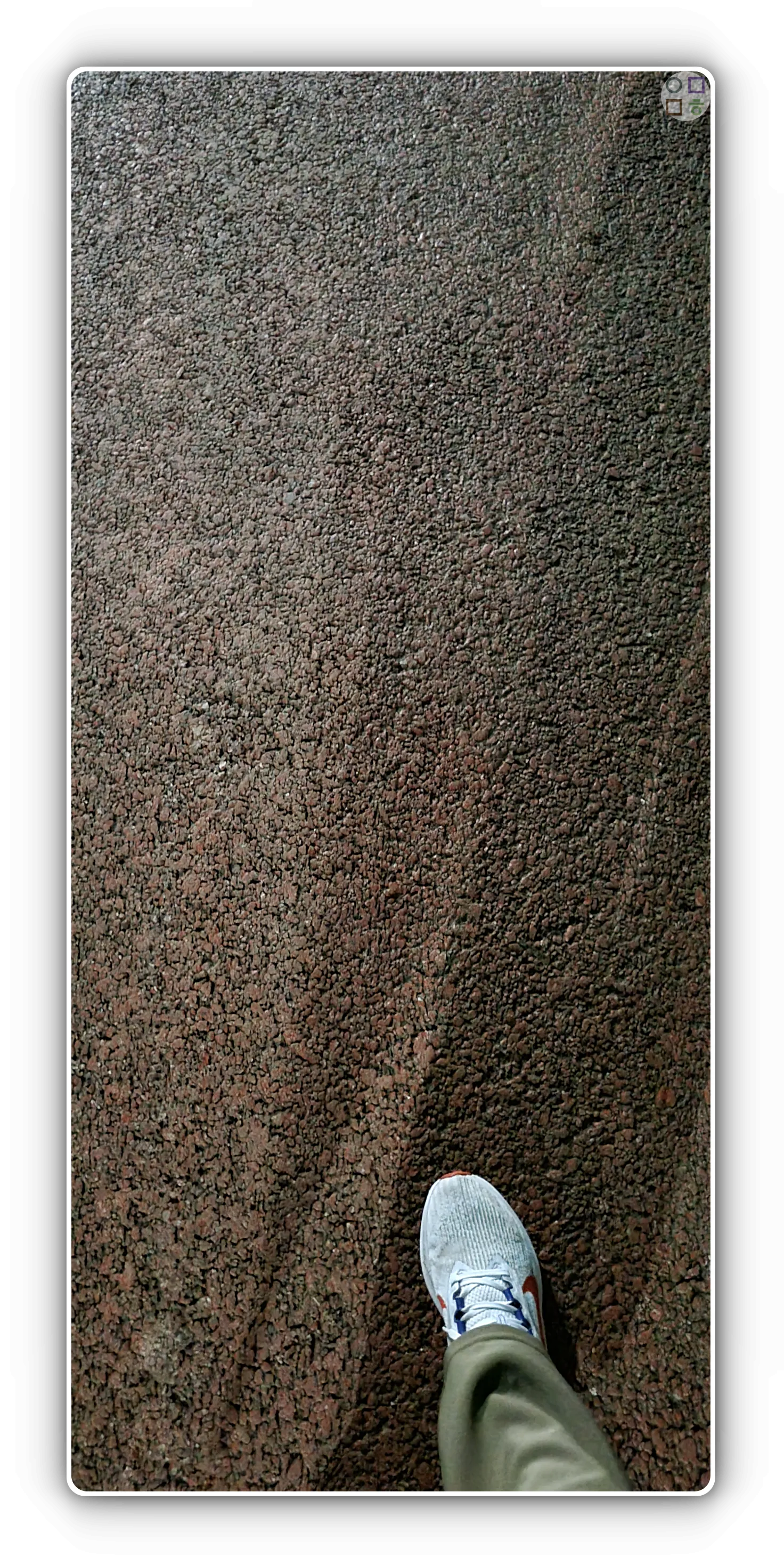 산책하는-발모습-매일