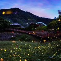 무주 반딧불축제