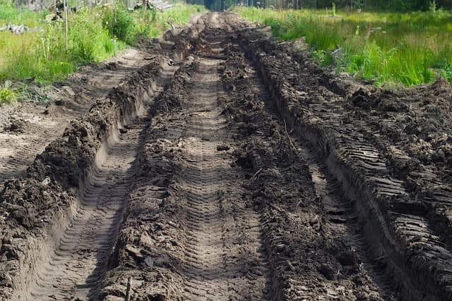 곤충의 면역 시스템과 토양 세균의 상호적 응답 경로 규명