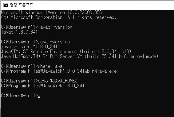 자바 설치 확인 명령어 예시