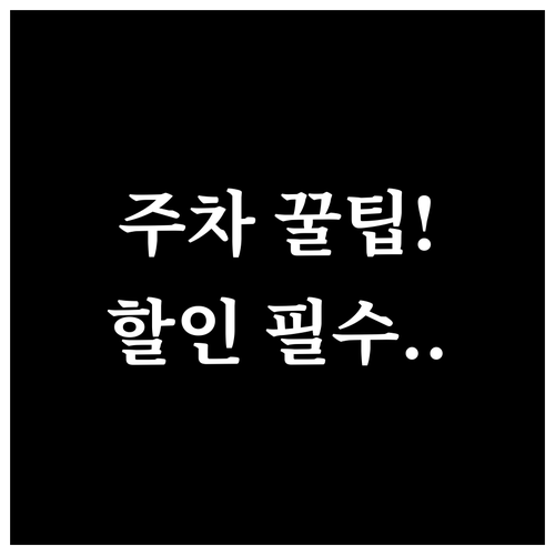 춘천 막국수 닭갈비 축제 임시 주차장..