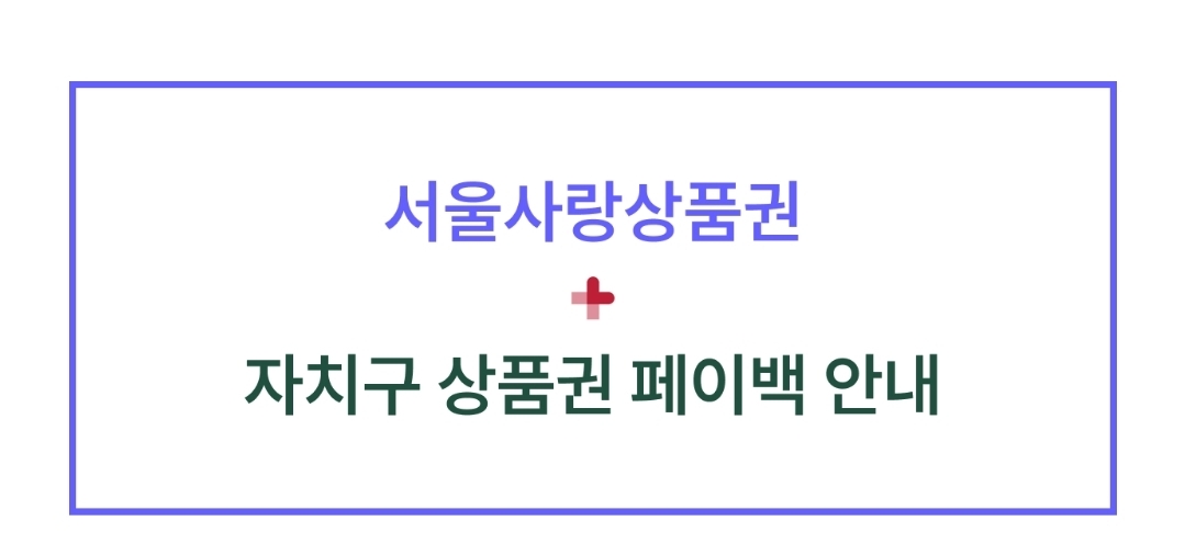 자치구별 발행 일정 및 전략 