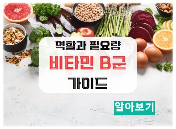 비타민 B군: 각 비타민의 역할과 필요량 가이드