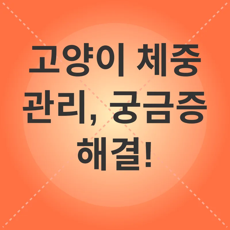 고양이 체중 관리_3