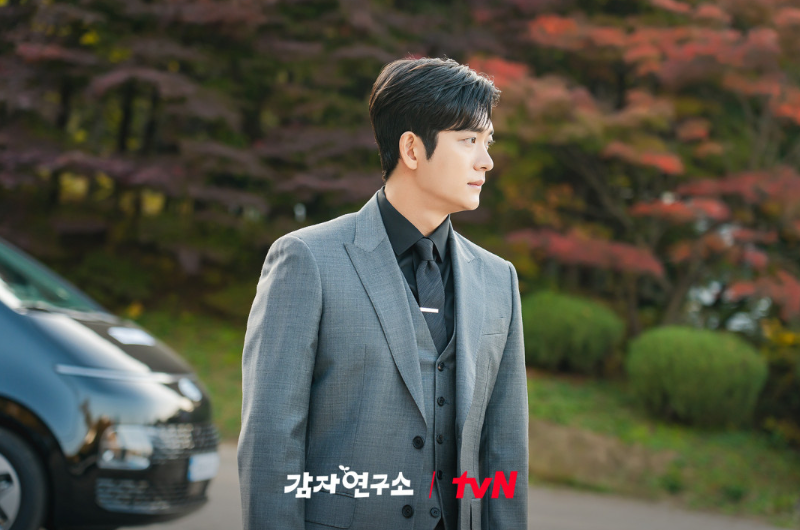 감자연구소 정주행 전 필수 정보! 등장인물&middot;공식영상&middot;OTT 비교