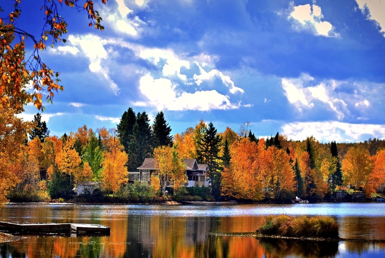 캐나다 오로라를 마주한 순간