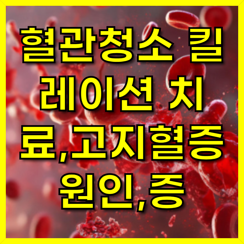 혈관청소 킬레이션 치료,고지혈증 원인,증상