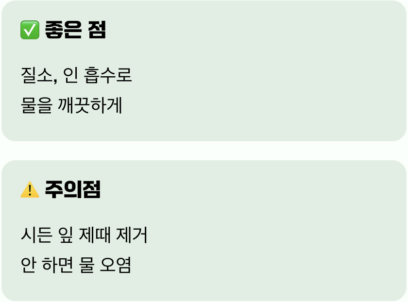 물을 깨끗하게&amp;#44; 수질 정화의 두 얼굴