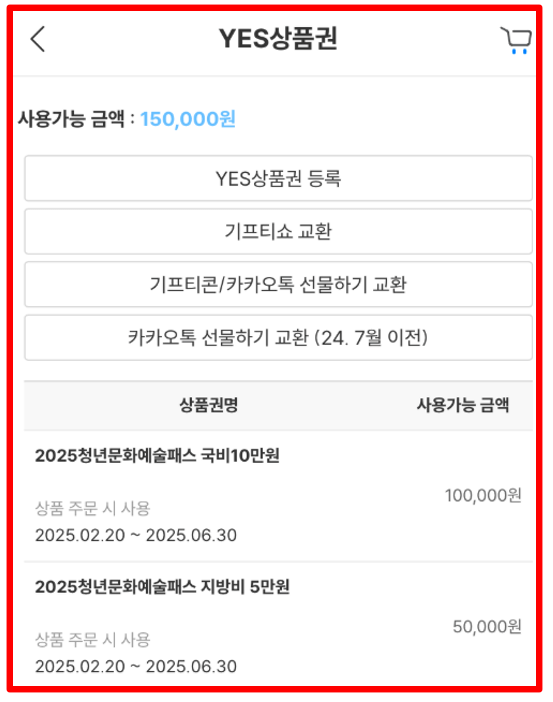 청년문화예술패스 15만원 지원금 신청대상 사용방법 사용처