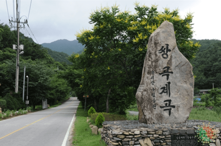 괴산군 쌍곡계곡
