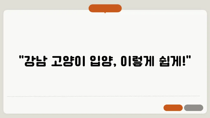 신뢰할 수 있는 고양이분양 플랫폼