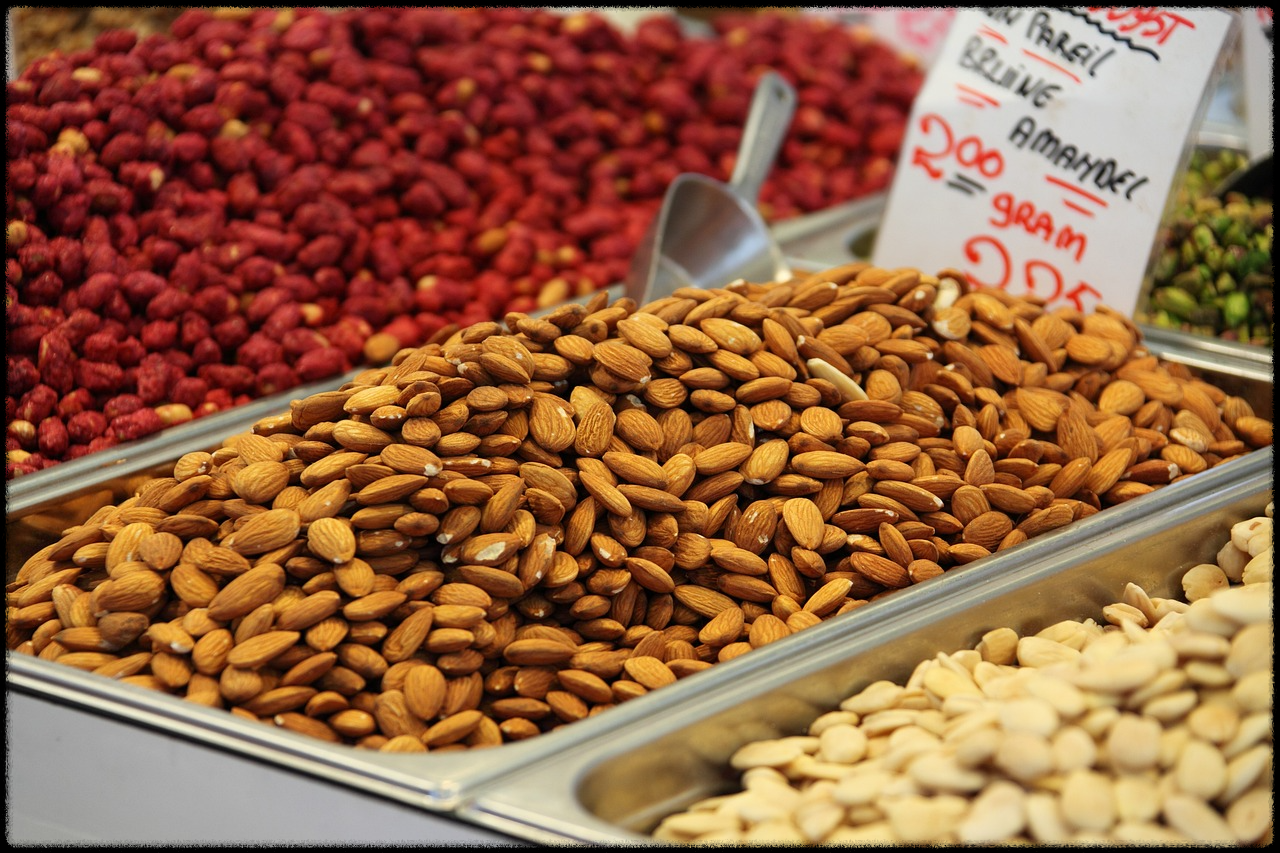 아몬드 효능_그림4