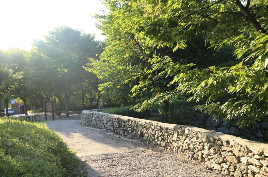 용인자연휴양림-예약-휴양림-풍경