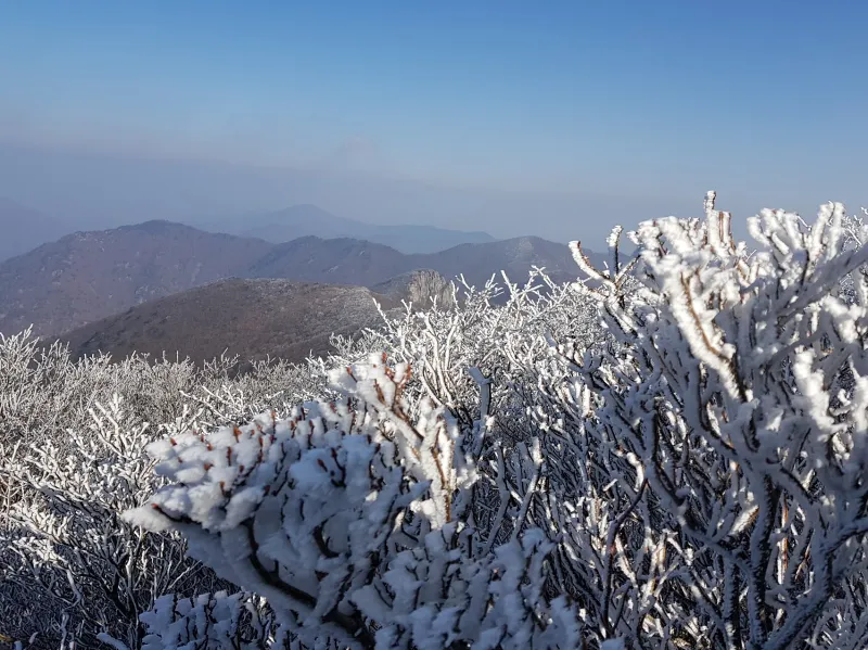 울산 가지산 설경