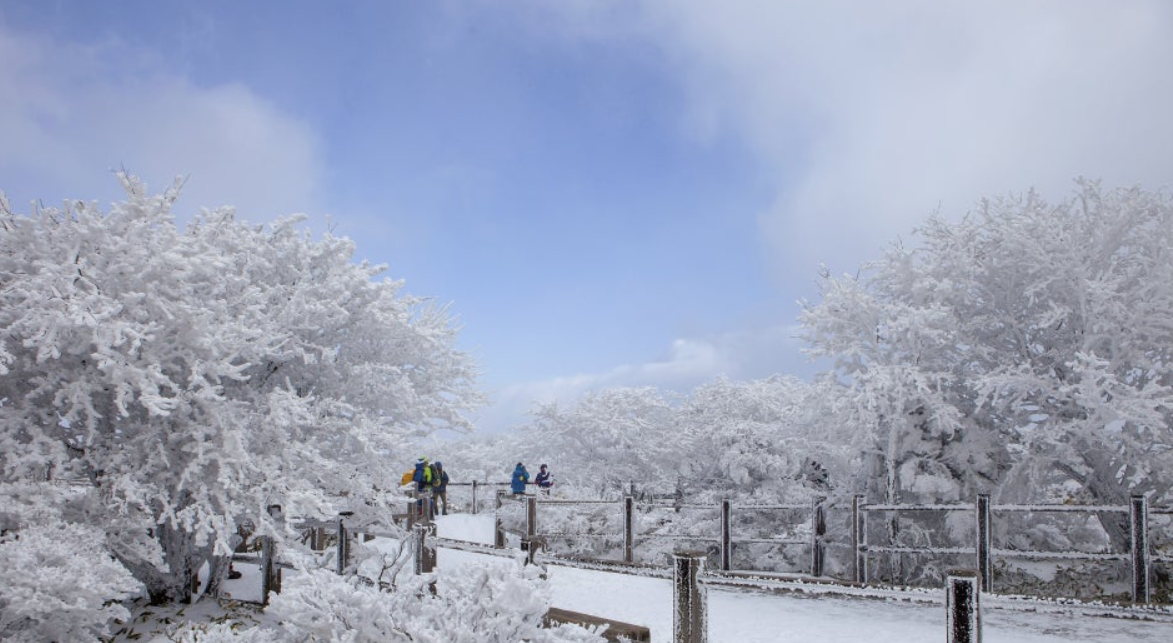 한라산 겨울 둘레길