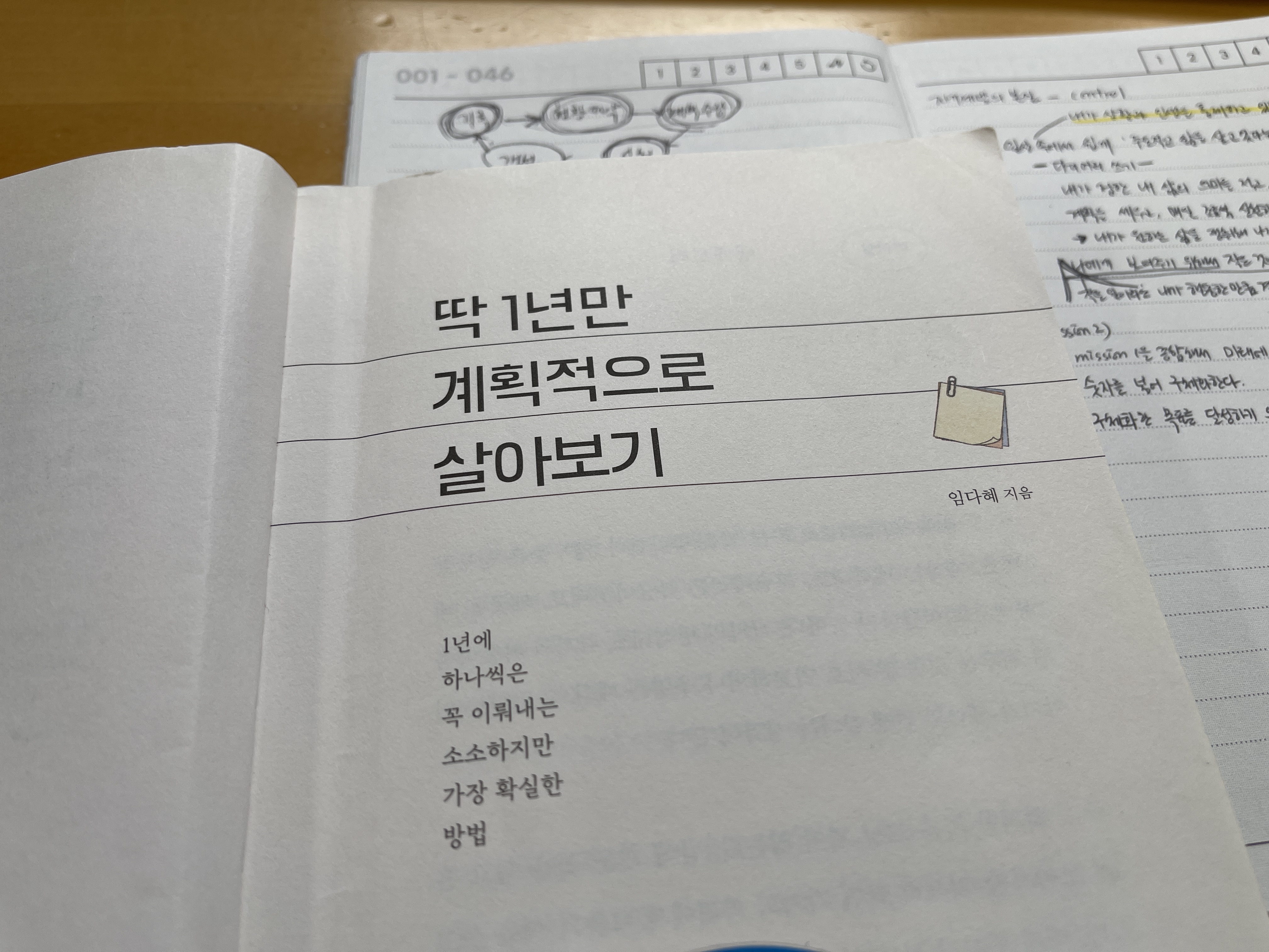 임다혜 작가의 딱 1년만 계획적으로 살아보기