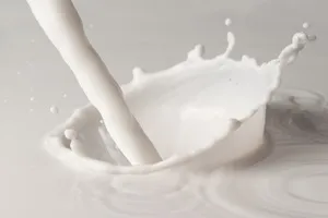 췌장암에 좋은 음식