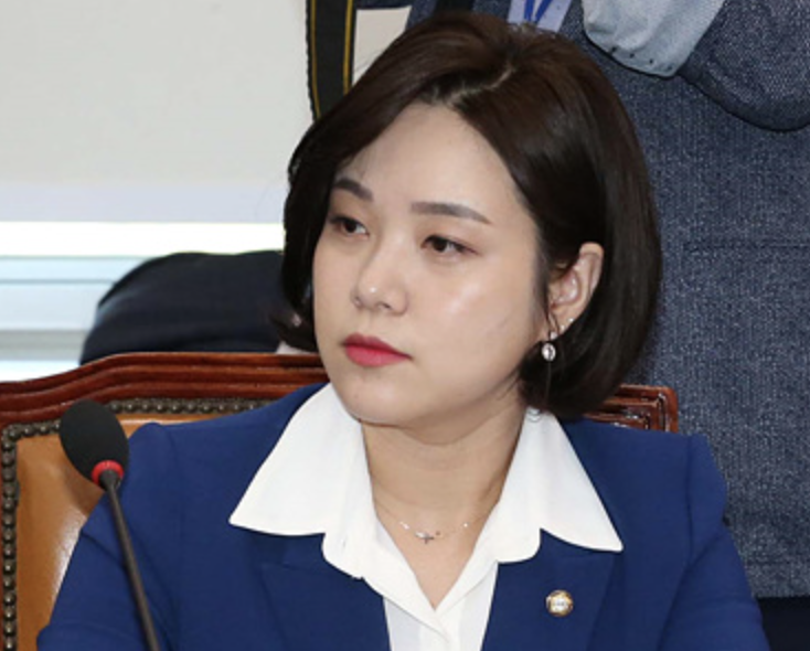 민주당 정은혜