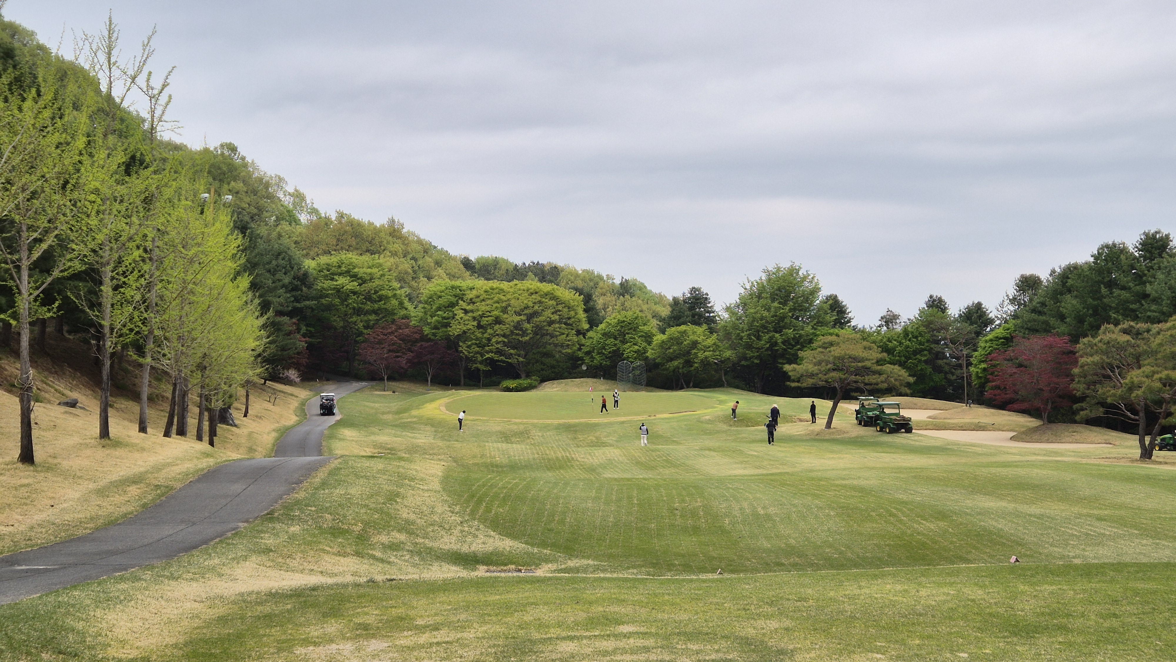 시그너스cc 코튼-라미 코스 사진 및 공략 정보