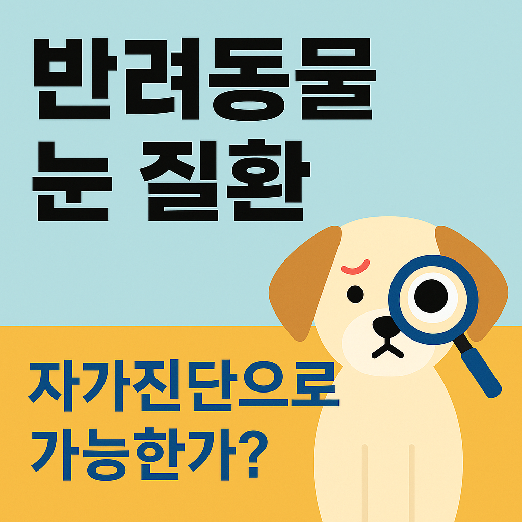 눈 질환, 자가진단으로 가능한가?