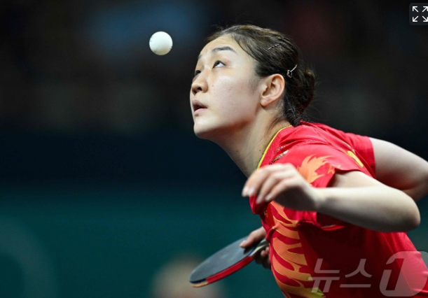 탁구 경기중인 신유빈 사진 출처 뉴스1