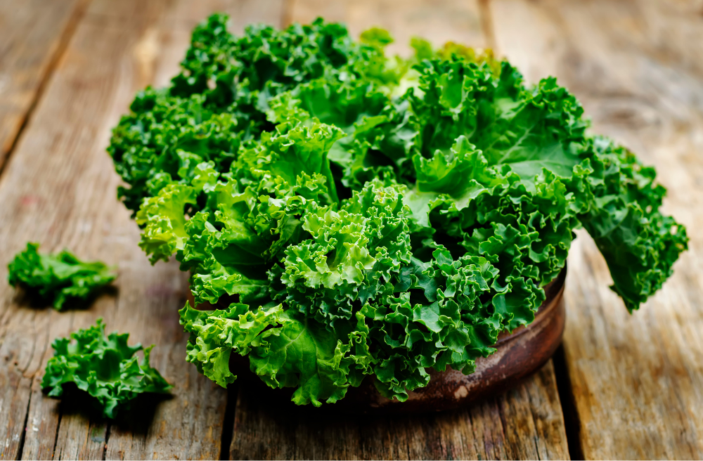 무릎 연골연화증