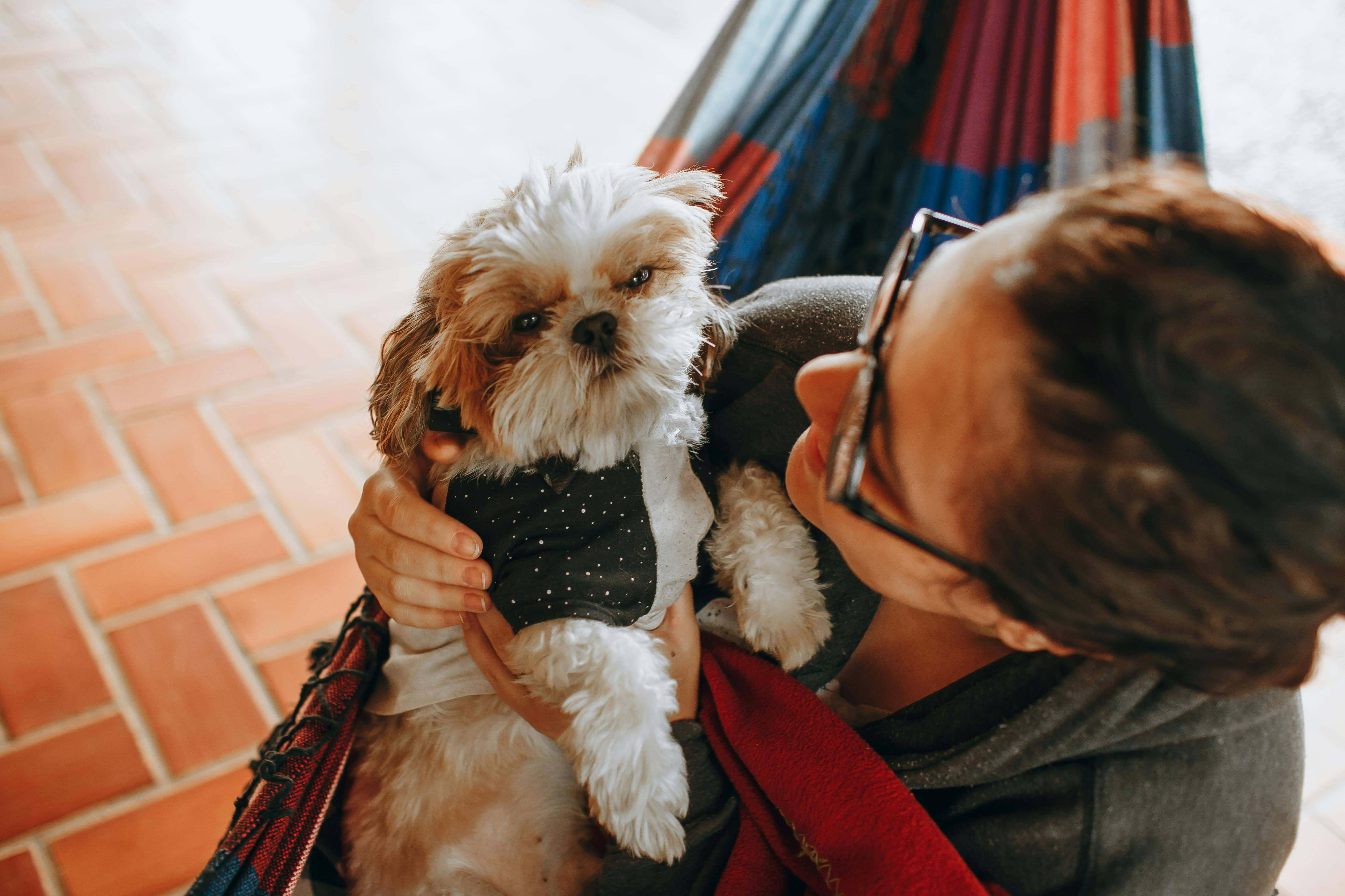 집에서 조용히 있던 강아지가 갑자기 짖는 이유
