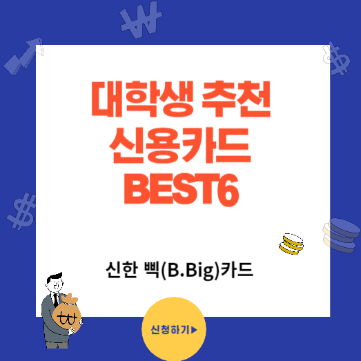 대학생 추천 신용카드 BEST6 (feat. 신한 삑카드 (B.Big))