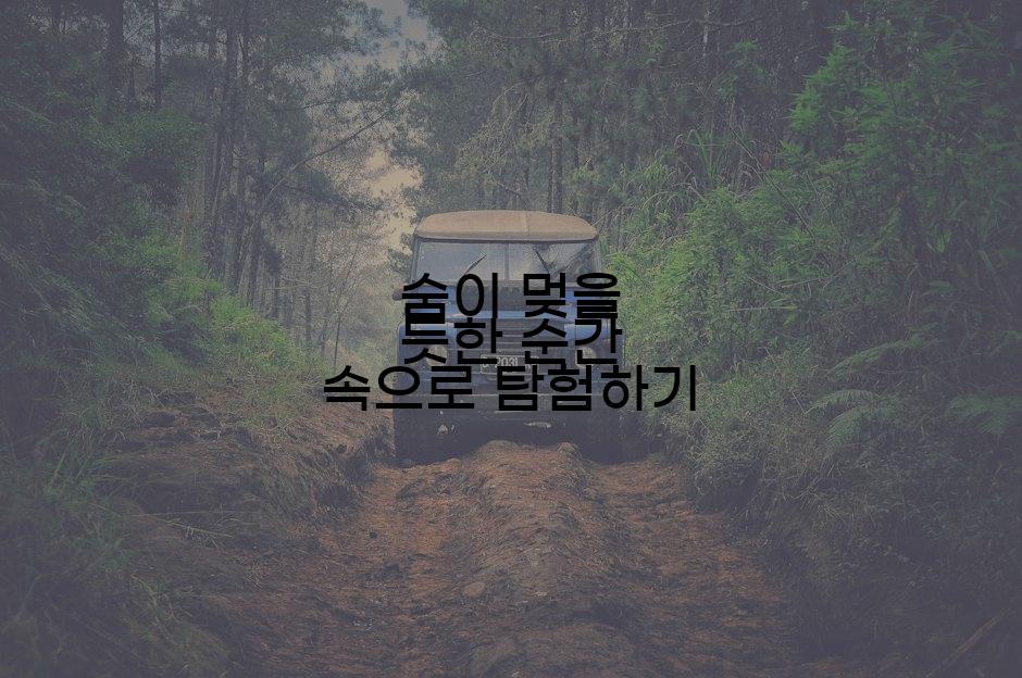 숨이 멎을 듯한 순간 속으로 탐험하기