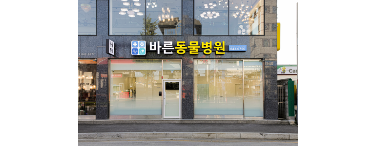 강릉시 동물병원