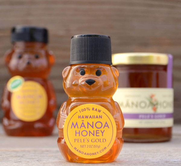 하와이안-마노아-허니-곰돌이-꿀병-사진