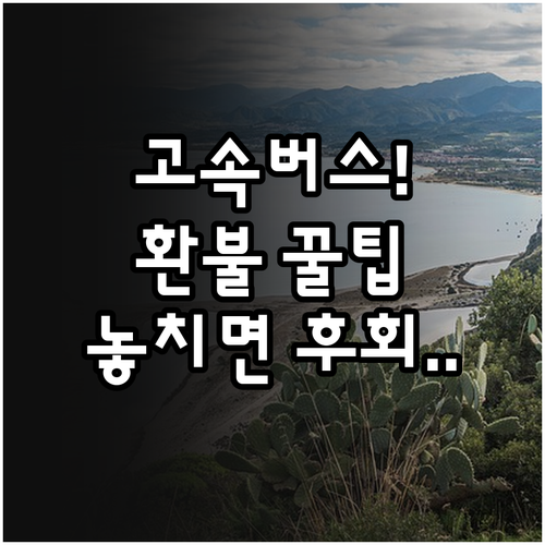 전국 고속버스 통합 플랫폼 예매 발권..