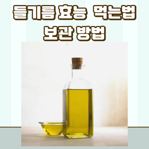 기름 섭취, 어떻게 하면 건강하게 할 수 있을까?