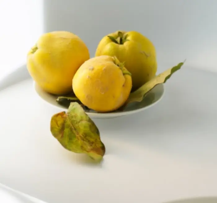 모과차 만드는법