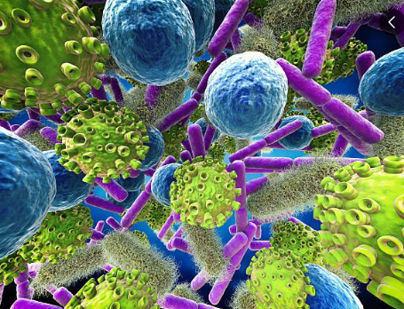 변이바이러스를 형상화한 사진