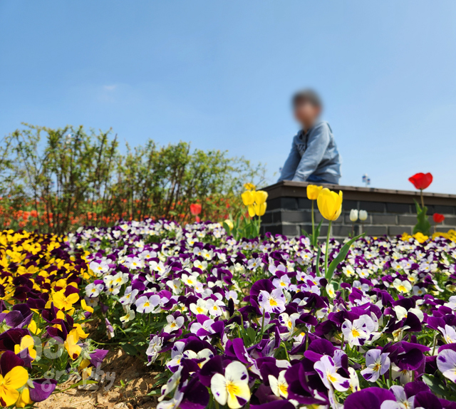 평택시-농업생태원