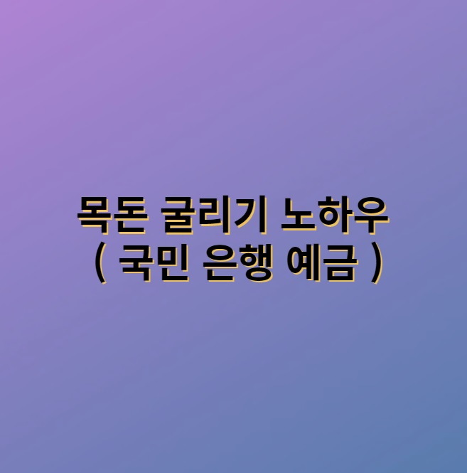 목돈 굴리기 노하우 ( 국민 은행 예금 )