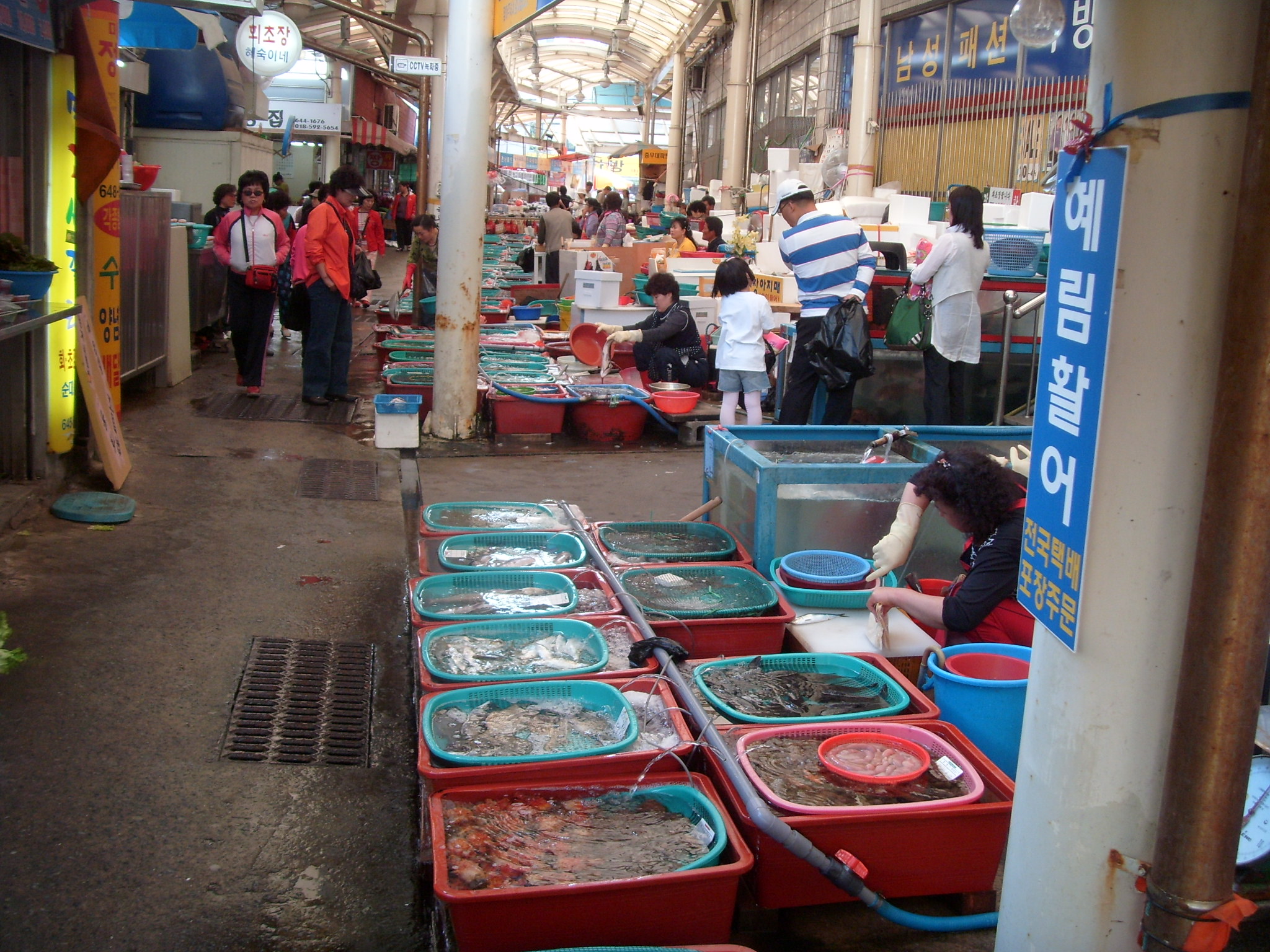 통영 중앙시장 활어 장터