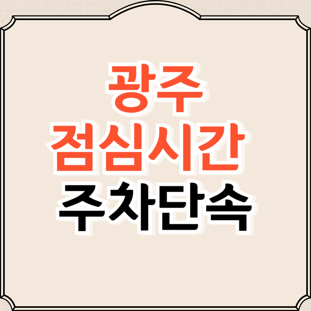 광주 점심시간 주차허용 확인방법, 제외구역