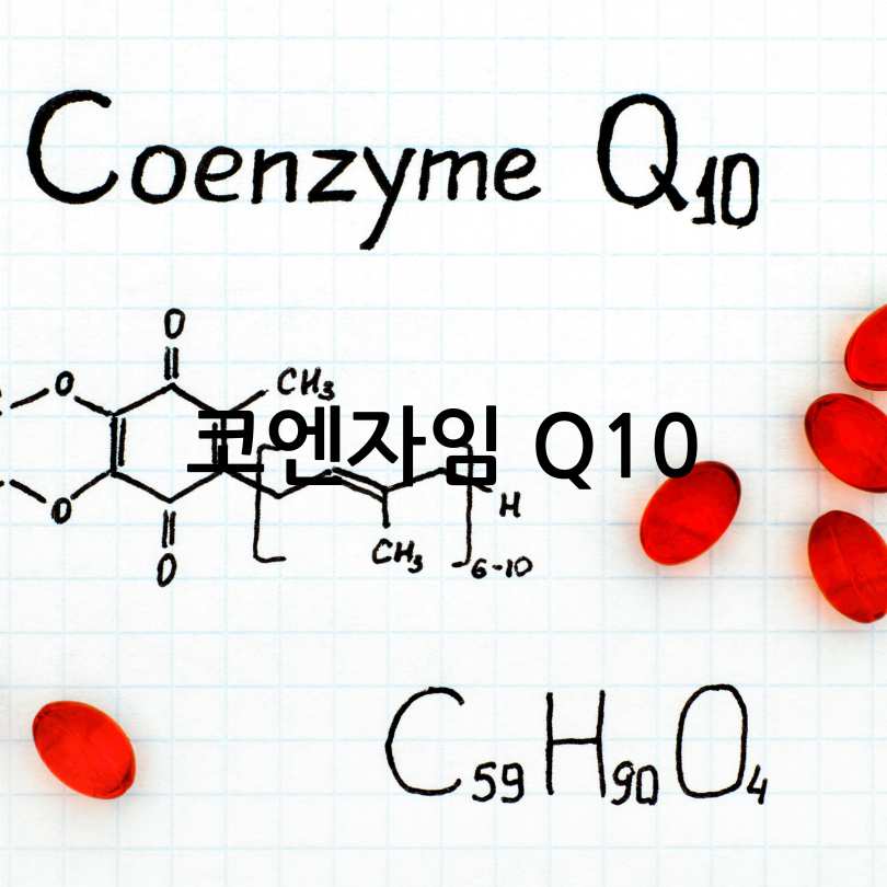 활성산소 제거 영양제