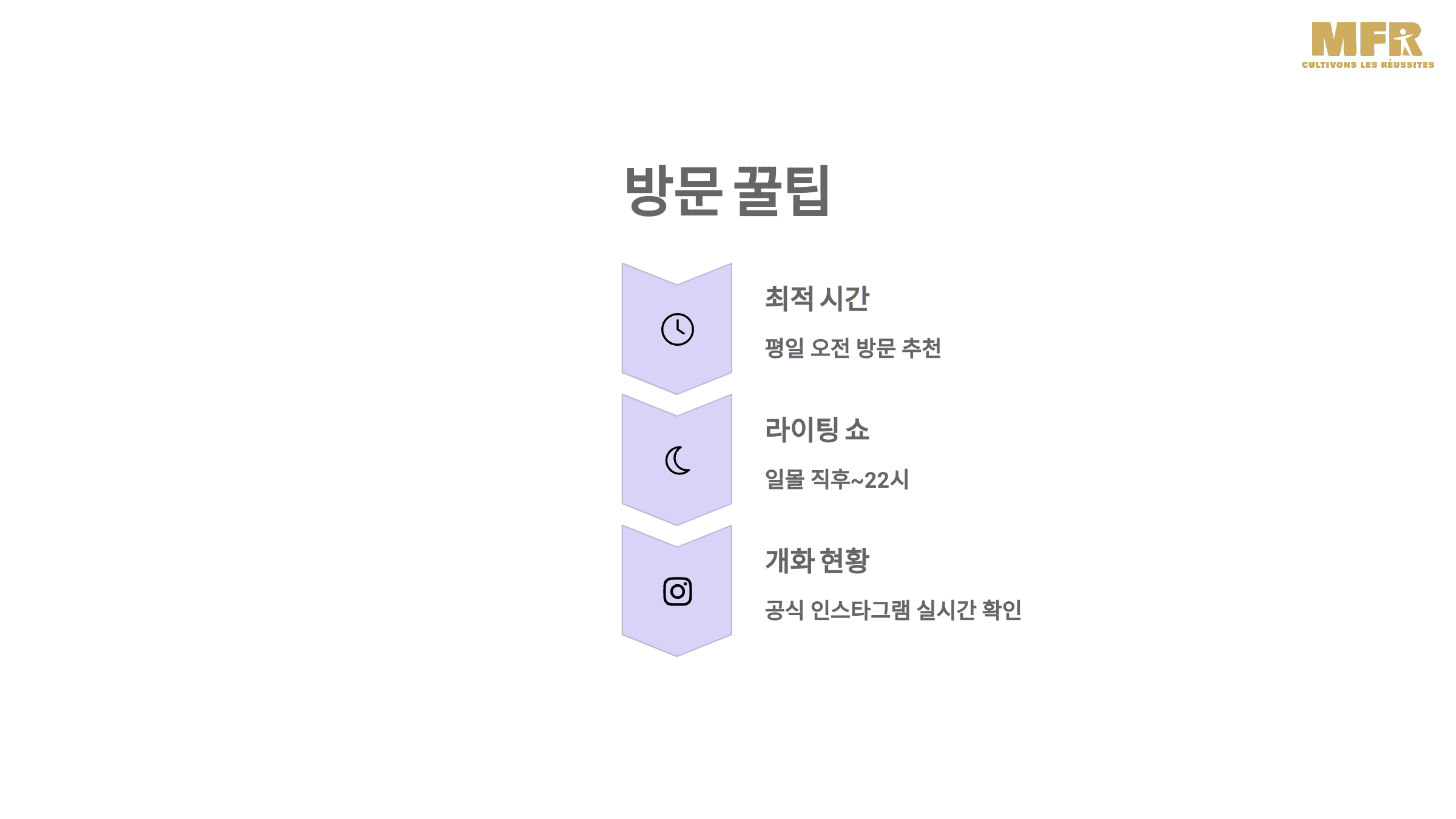 이월드 30주년 기념! 벚꽃 축제에서 만나는 특별한 봄날