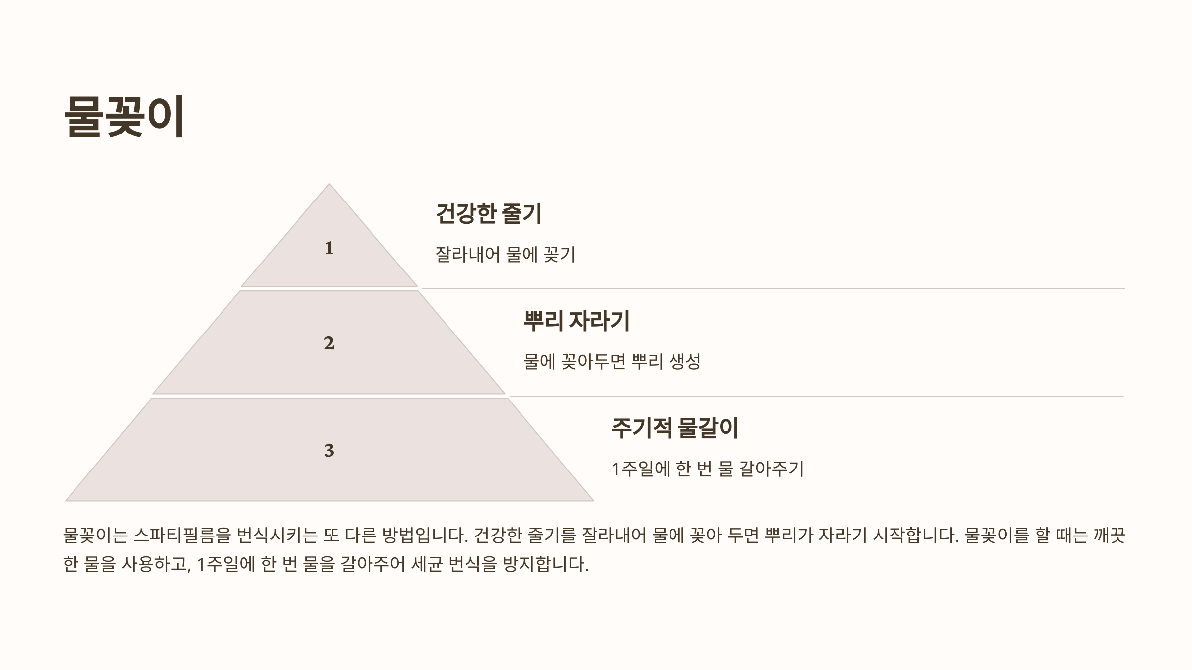 스파티필름과 관련된 사진입니다.